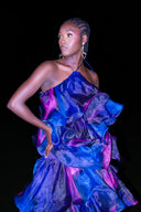 Rimi Dress