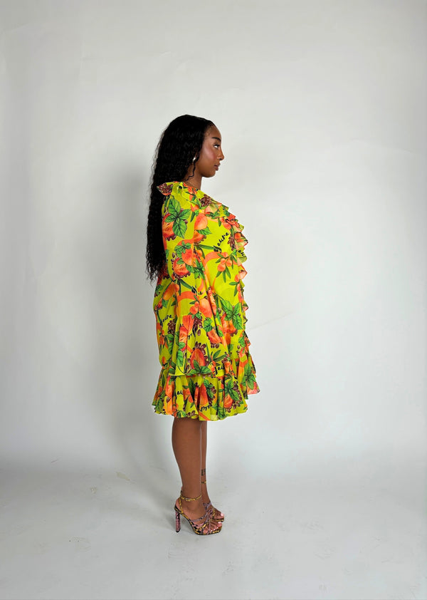 TOPSY DRESS in Agbalumo Print