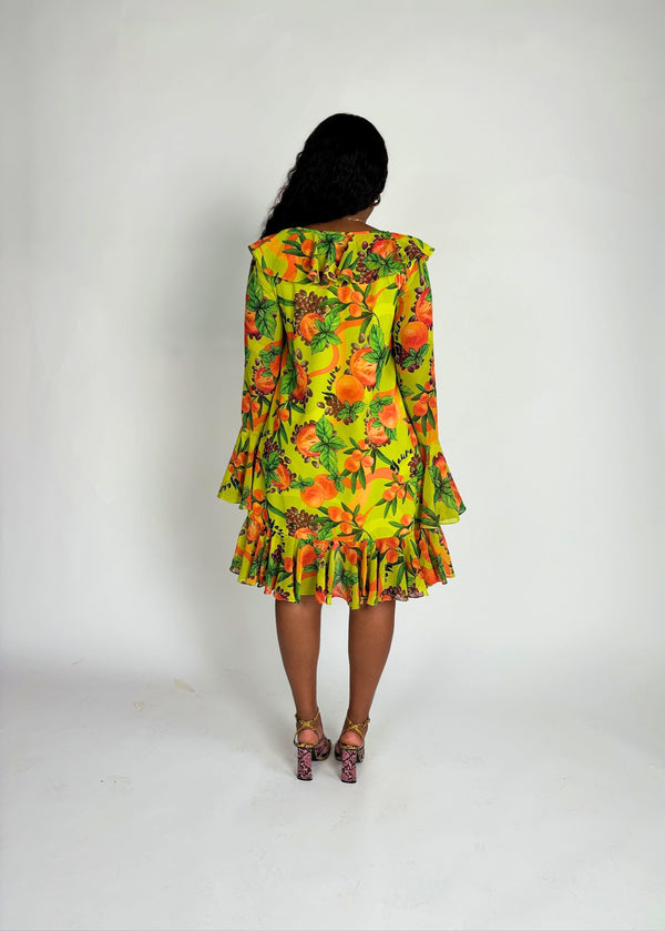 TOPSY DRESS in Agbalumo Print