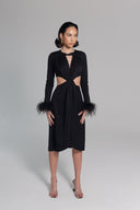 Tolani Dress